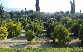 Natura Beach Hotel And Villas